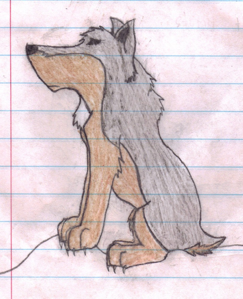 Storm the wolfdog...Trixy's sister!