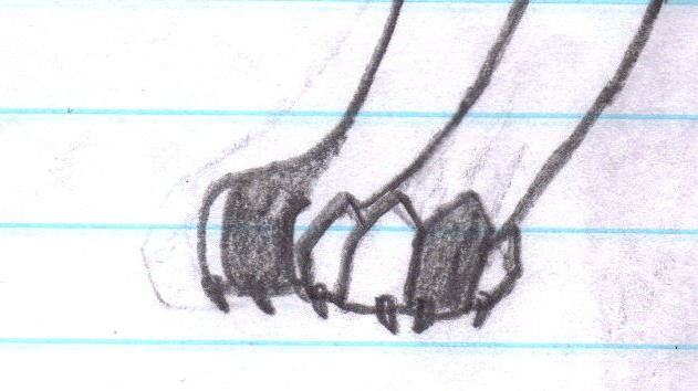 Tony's back legs