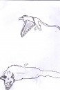 My Kiba style