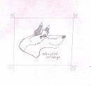Just some randome wolf...