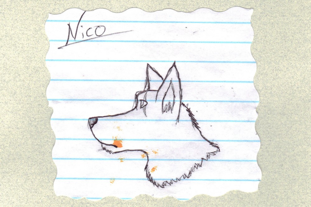 Nico