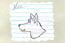 Nico