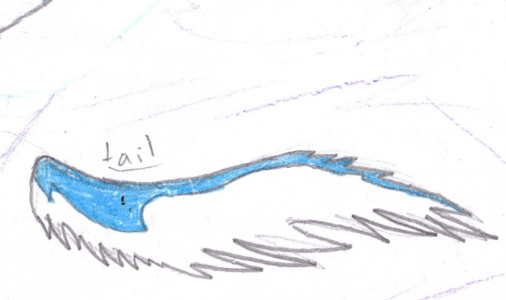 Uh, his tail...