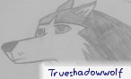 Trueshadowwolf
