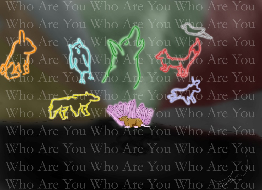 Who Are You