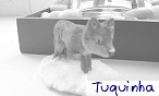 tuquinha