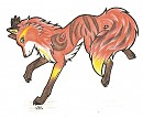 Akari