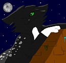 Dawn as a cat