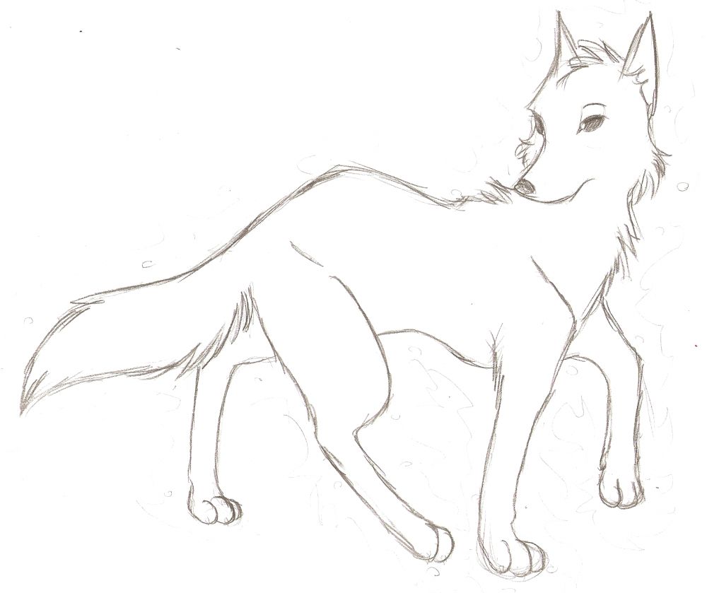Random Wolf