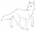 Random Wolf