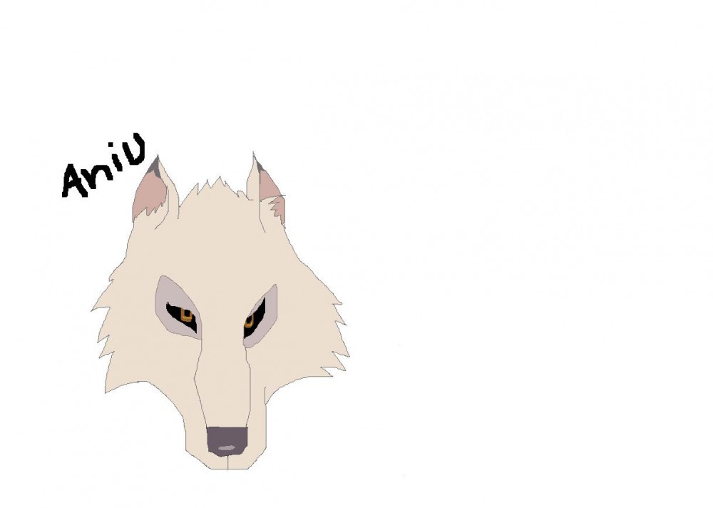 Aniu