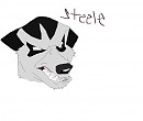 Steele