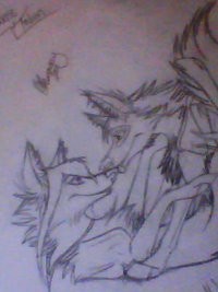 Blackrose & Falcon...