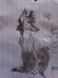 BlackThorn as a Pup