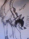 SCENE WOLF!!