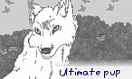 Ultimate pup