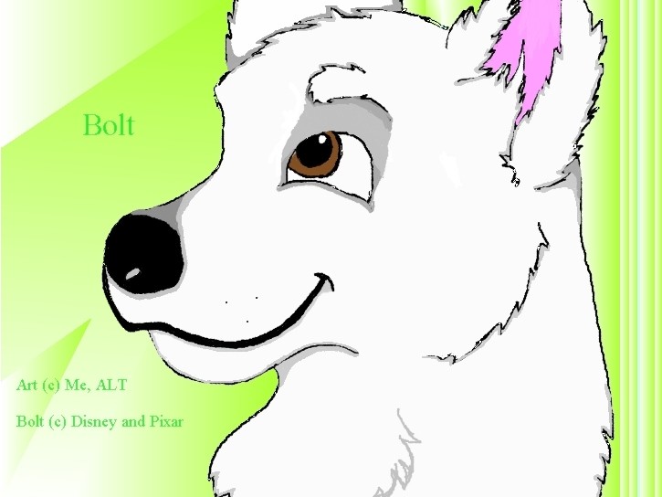 Bolt