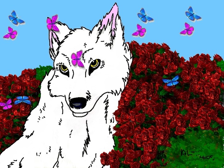 Rose Fields