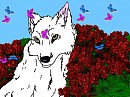 Rose Fields
