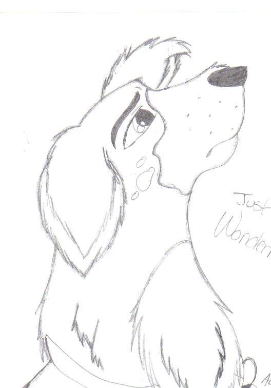 Just Wonder