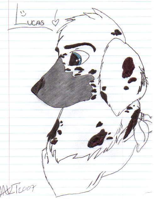 Lucas dalmation Boy