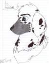 Lucas dalmation Boy