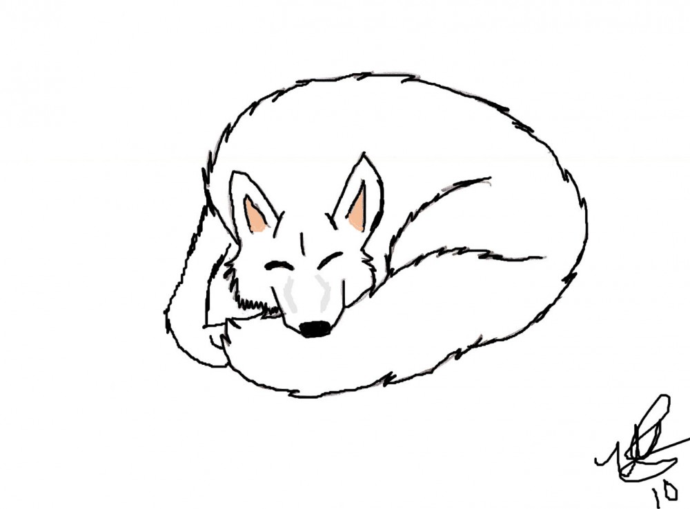 Aniu Asleep