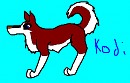 My Version Of Kodi