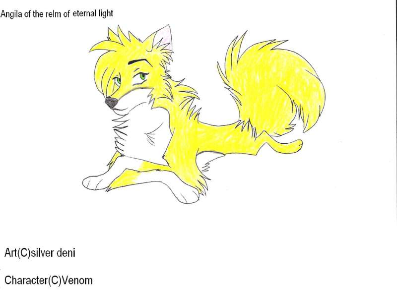 New character