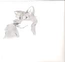 Balto