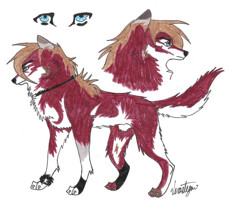 ---Contest Entry---