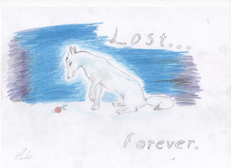 Lost wolf