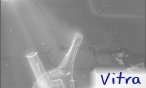 vitra
