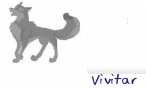 vivitar