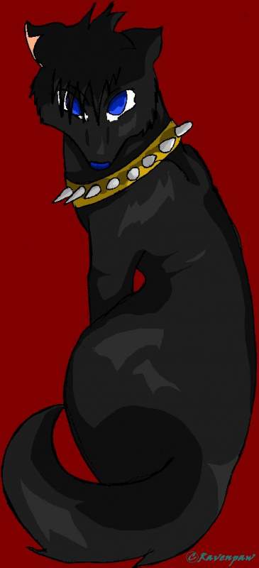 4 Raven(Ravenpaw)