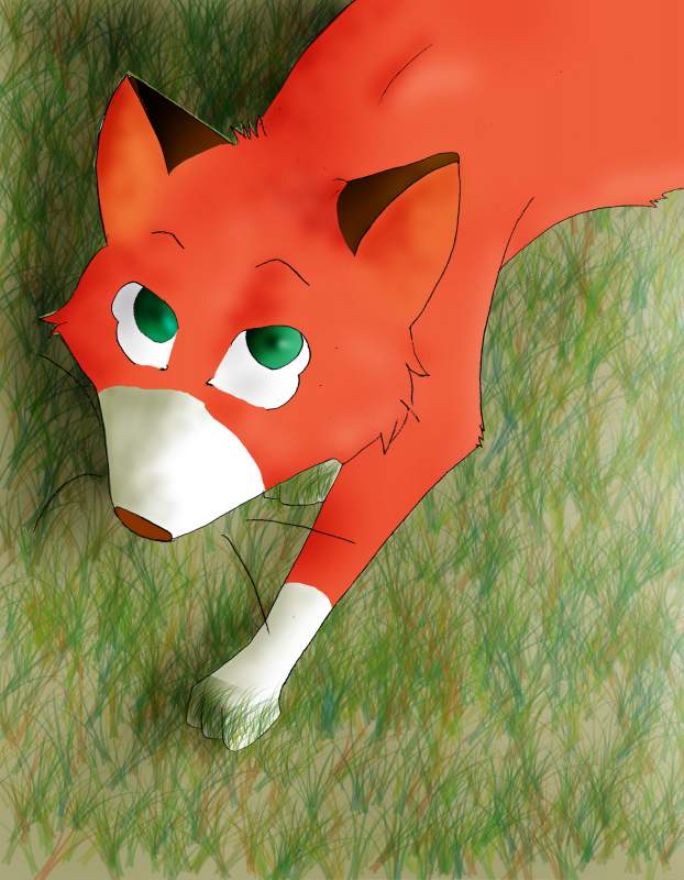 a red fox