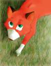 a red fox