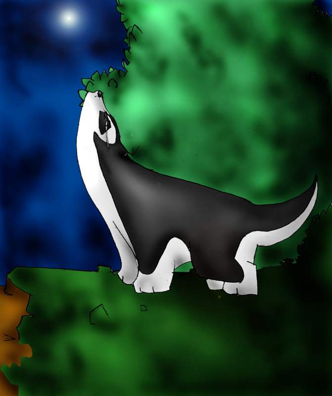 Sytana & Wolfy contest