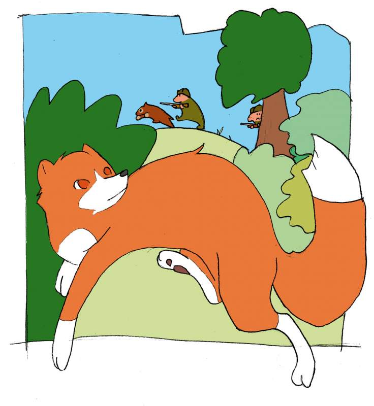 run little fox!