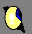 Male Wolf Eye