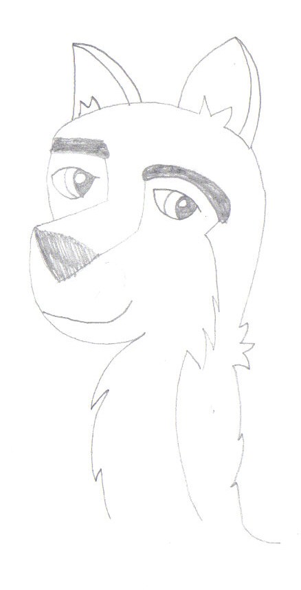 Some Random Wolf...