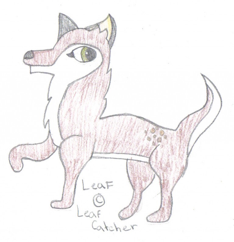 Leaf