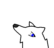 Aniu