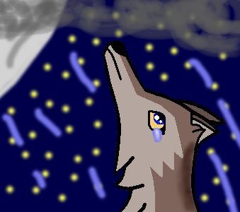 A Lonely Night