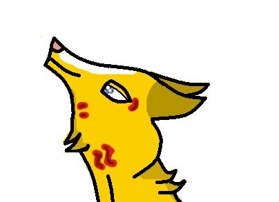 Contest Prize for Hunter (the wolf) - Hunter -
