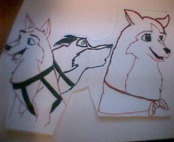 Balto, Jenna, Kodi