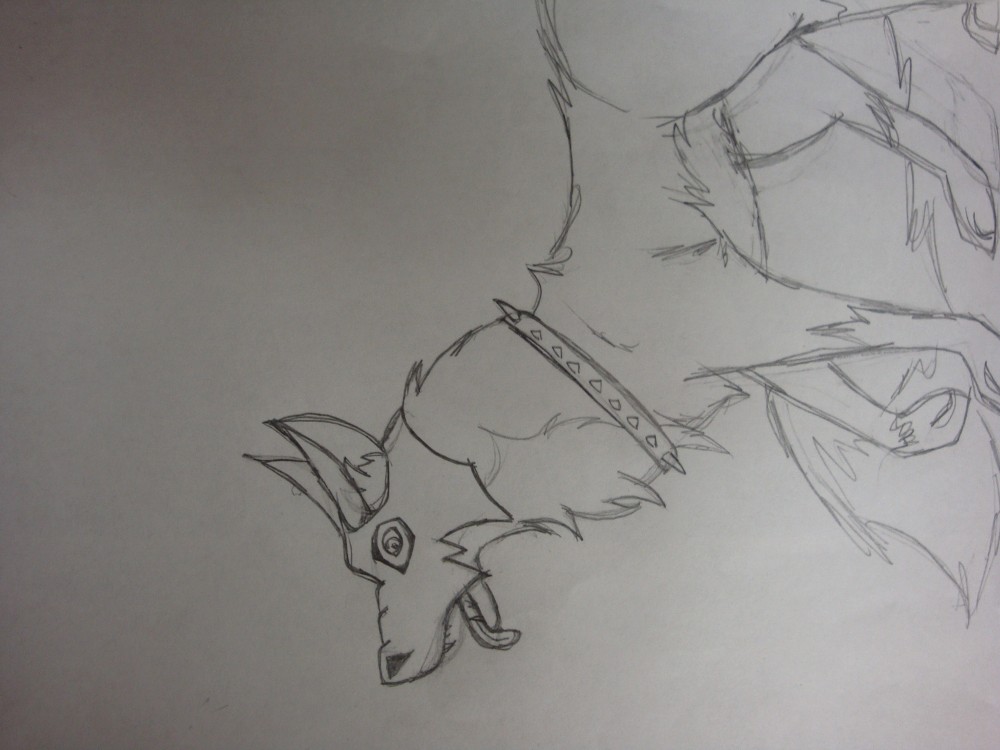 Masked Wolf