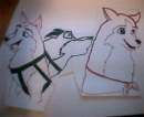 Balto, Jenna, Kodi
