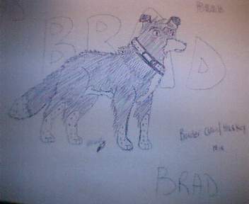 Brad2