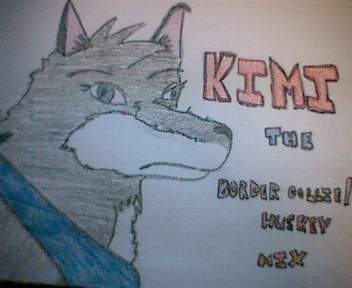 Kimi